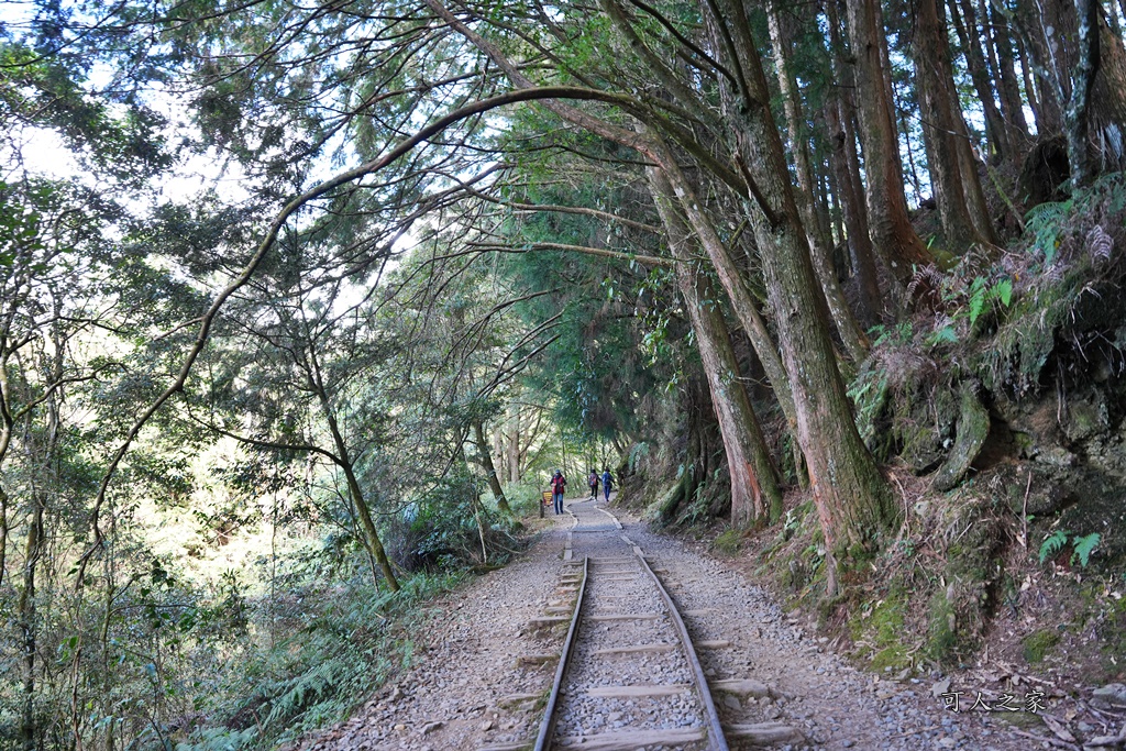 導航點,特富野古道,特富野古道怎麼去？,特富野自忠登山口路線,獨立山國家步道,精選文章