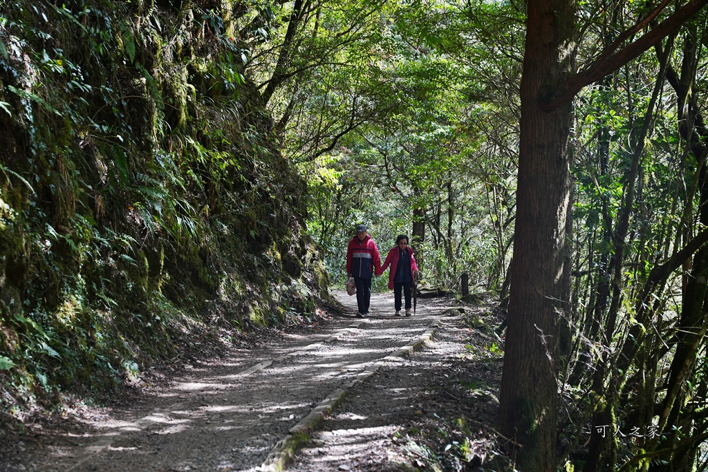 導航點,特富野古道,特富野古道怎麼去？,特富野自忠登山口路線,獨立山國家步道,精選文章