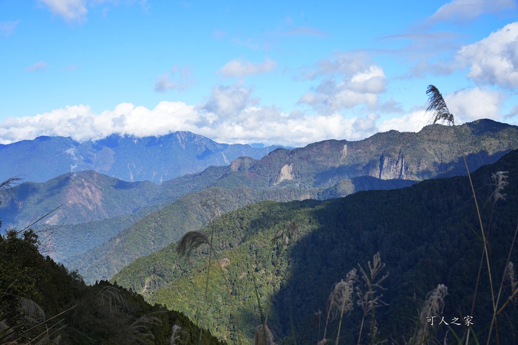 導航點,特富野古道,特富野古道怎麼去？,特富野自忠登山口路線,獨立山國家步道,精選文章