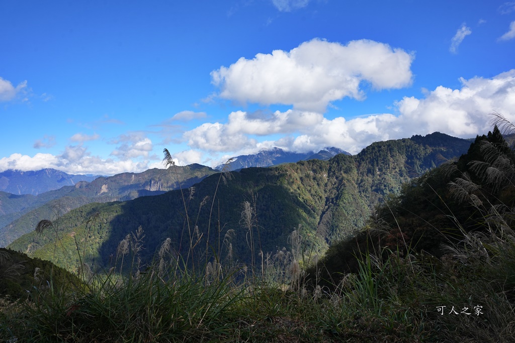 導航點,特富野古道,特富野古道怎麼去？,特富野自忠登山口路線,獨立山國家步道,精選文章