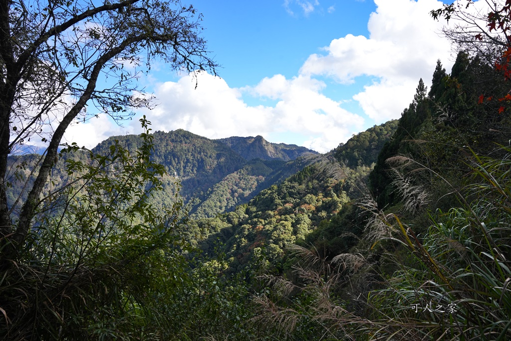 導航點,特富野古道,特富野古道怎麼去？,特富野自忠登山口路線,獨立山國家步道,精選文章