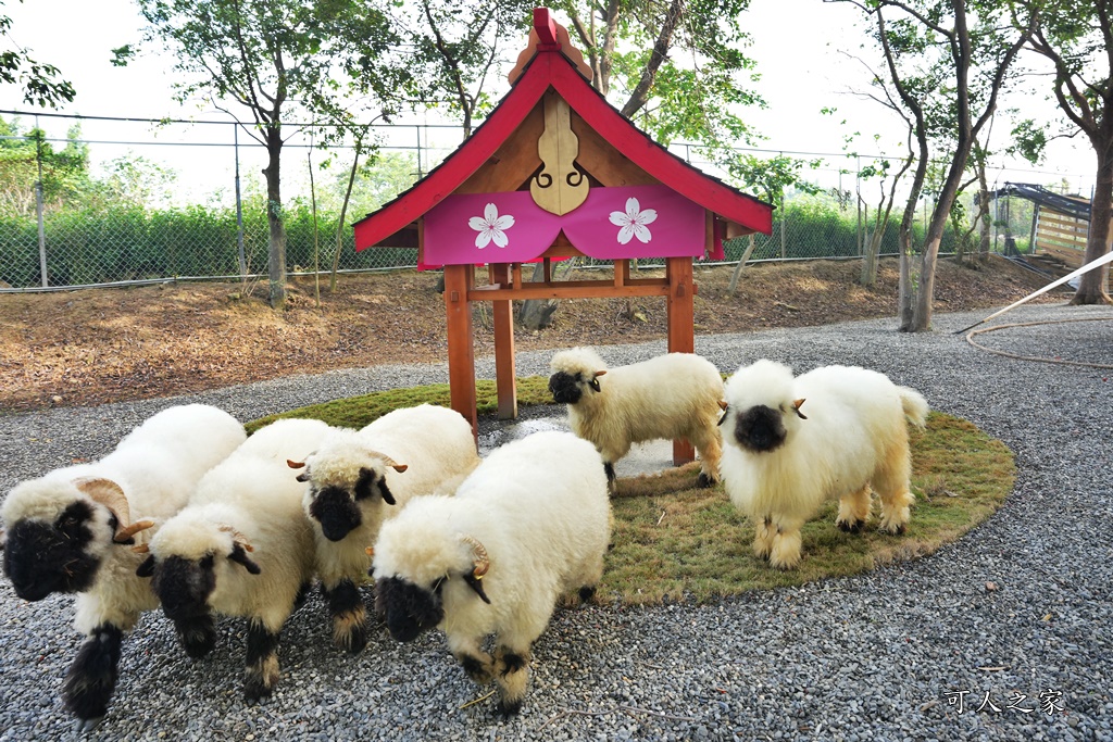 咩咩上樹萌寵樂園,咩咩上樹萌寵樂園的評論,咩咩上樹萌寵樂園門票,嘉義,嘉義朴子景點,朴子新景點