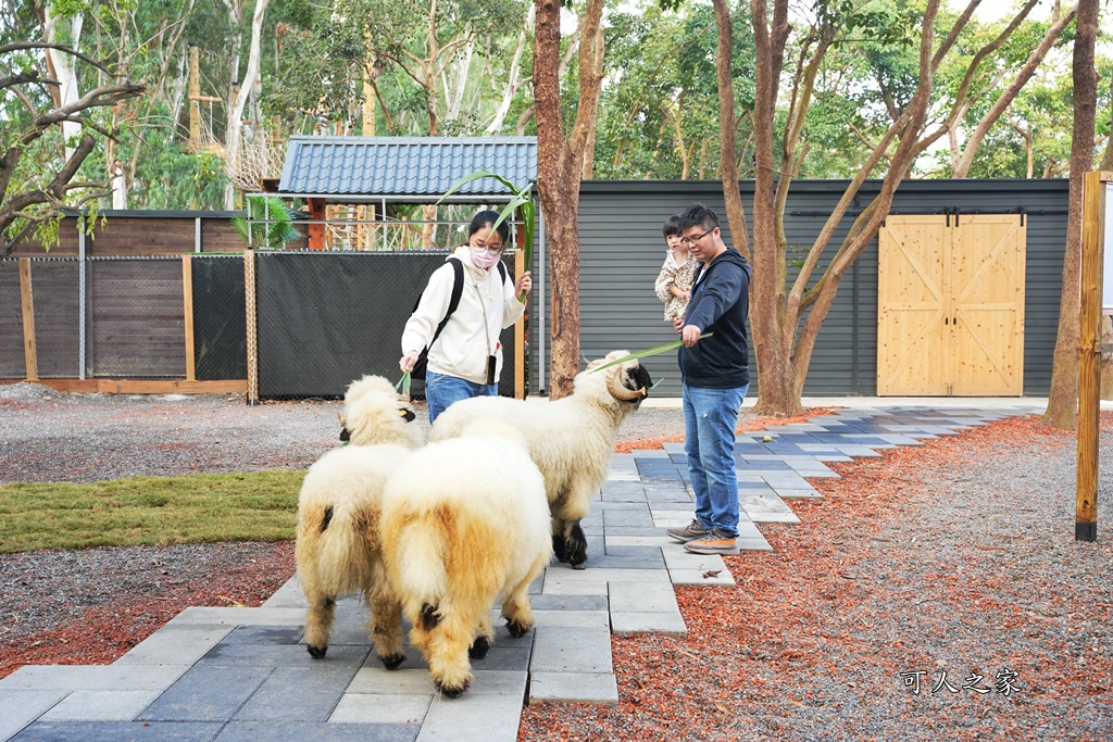 咩咩上樹萌寵樂園,咩咩上樹萌寵樂園的評論,咩咩上樹萌寵樂園門票,嘉義,嘉義朴子景點,朴子新景點