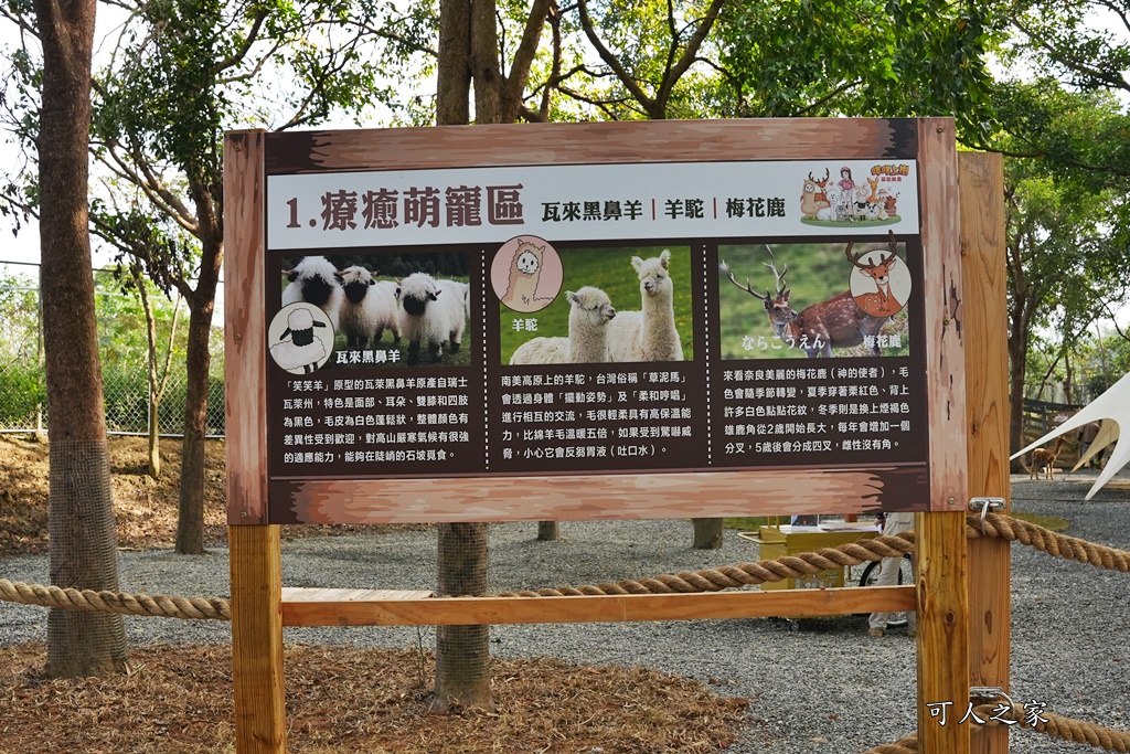 咩咩上樹萌寵樂園,咩咩上樹萌寵樂園的評論,咩咩上樹萌寵樂園門票,嘉義,嘉義朴子景點,朴子新景點