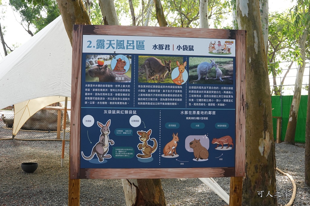 咩咩上樹萌寵樂園,咩咩上樹萌寵樂園的評論,咩咩上樹萌寵樂園門票,嘉義,嘉義朴子景點,朴子新景點