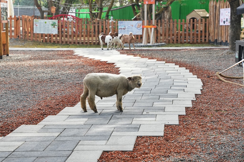 咩咩上樹萌寵樂園,咩咩上樹萌寵樂園的評論,咩咩上樹萌寵樂園門票,嘉義,嘉義朴子景點,朴子新景點