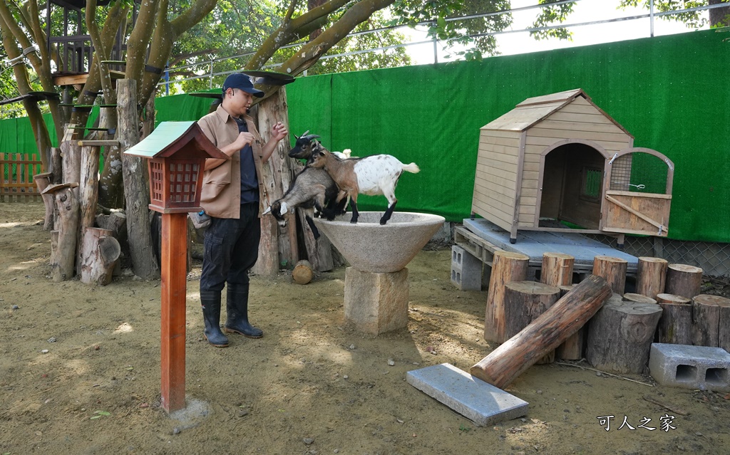 咩咩上樹萌寵樂園,咩咩上樹萌寵樂園的評論,咩咩上樹萌寵樂園門票,嘉義,嘉義朴子景點,朴子新景點