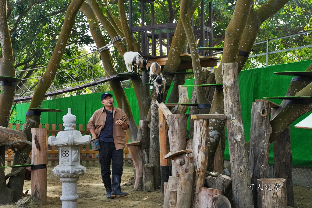 咩咩上樹萌寵樂園,咩咩上樹萌寵樂園的評論,咩咩上樹萌寵樂園門票,嘉義,嘉義朴子景點,朴子新景點