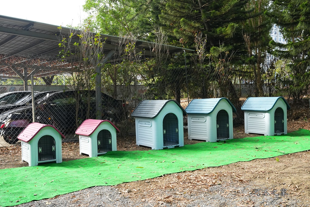 咩咩上樹萌寵樂園,咩咩上樹萌寵樂園的評論,咩咩上樹萌寵樂園門票,嘉義,嘉義朴子景點,朴子新景點