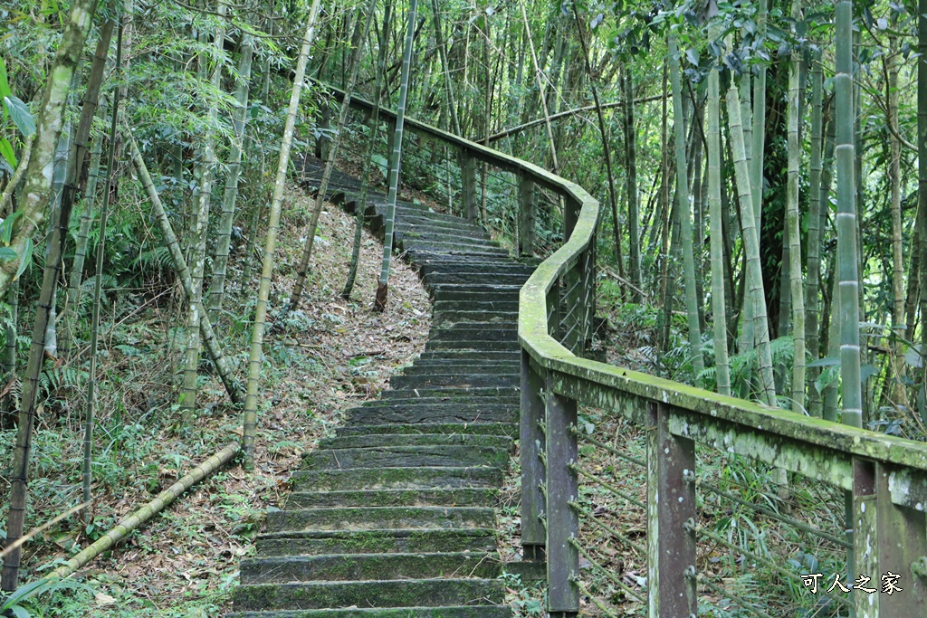 嘉義梅山景點,太平國小,太平雲梯附近景點,孝子路步道