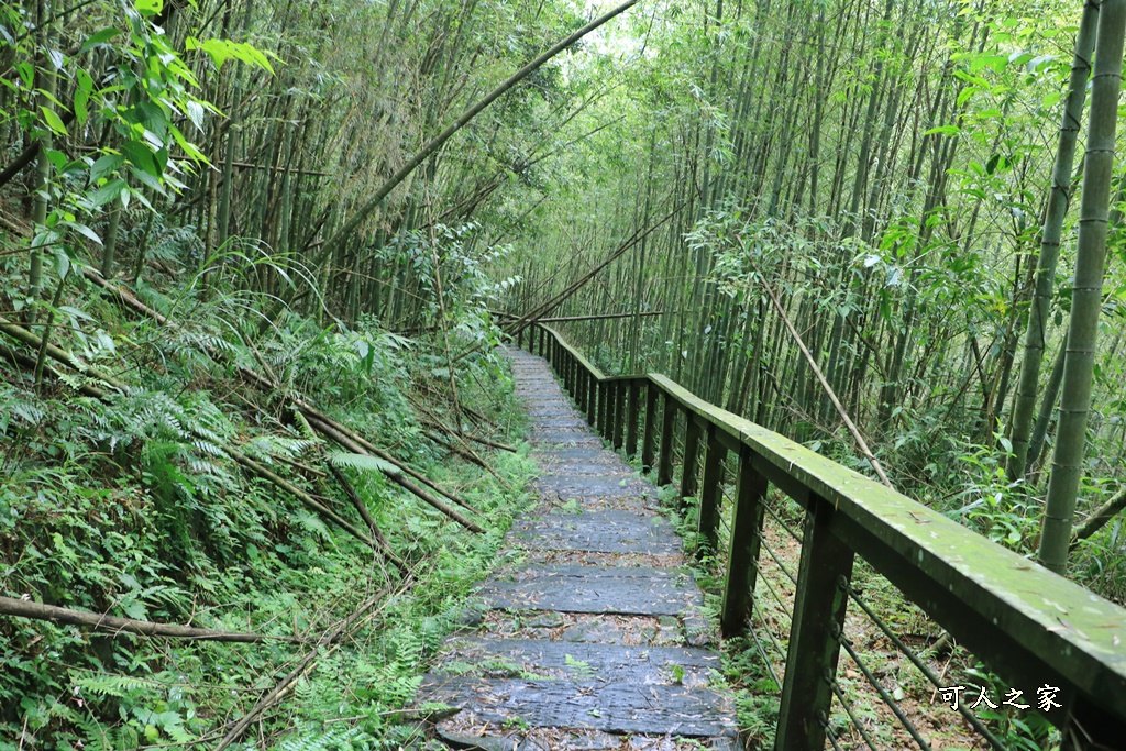 嘉義梅山景點,太平國小,太平雲梯附近景點,孝子路步道