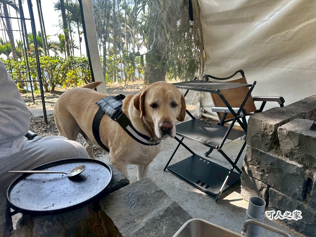 古坑咖啡,古坑玩沙,古坑美食,夜景餐廳,情侶約會,桂林映象會館,珍粉紅城堡,華山小天梯,蘿莎玫瑰莊園,蜜蜂故事館,親子餐廳,雲林IG景點,雲林一日遊,雲林休閒農場,雲林古坑景點,雲林咖啡廳,雲林夜景,雲林戶外景點,雲林打卡,雲林打卡景點,雲林推薦景點,雲林旅遊攻略,雲林景觀餐廳,雲林浪漫景點,雲林火鍋,雲林約會,雲林網美,雲林美食推薦,雲林華山,雲林親子景點,雲林觀光,雲林露營風,雲頂咖啡,雲頂咖啡低消,雲頂咖啡景觀餐廳,雲頂咖啡營業時間,雲頂咖啡菜單,雲頂咖啡電話