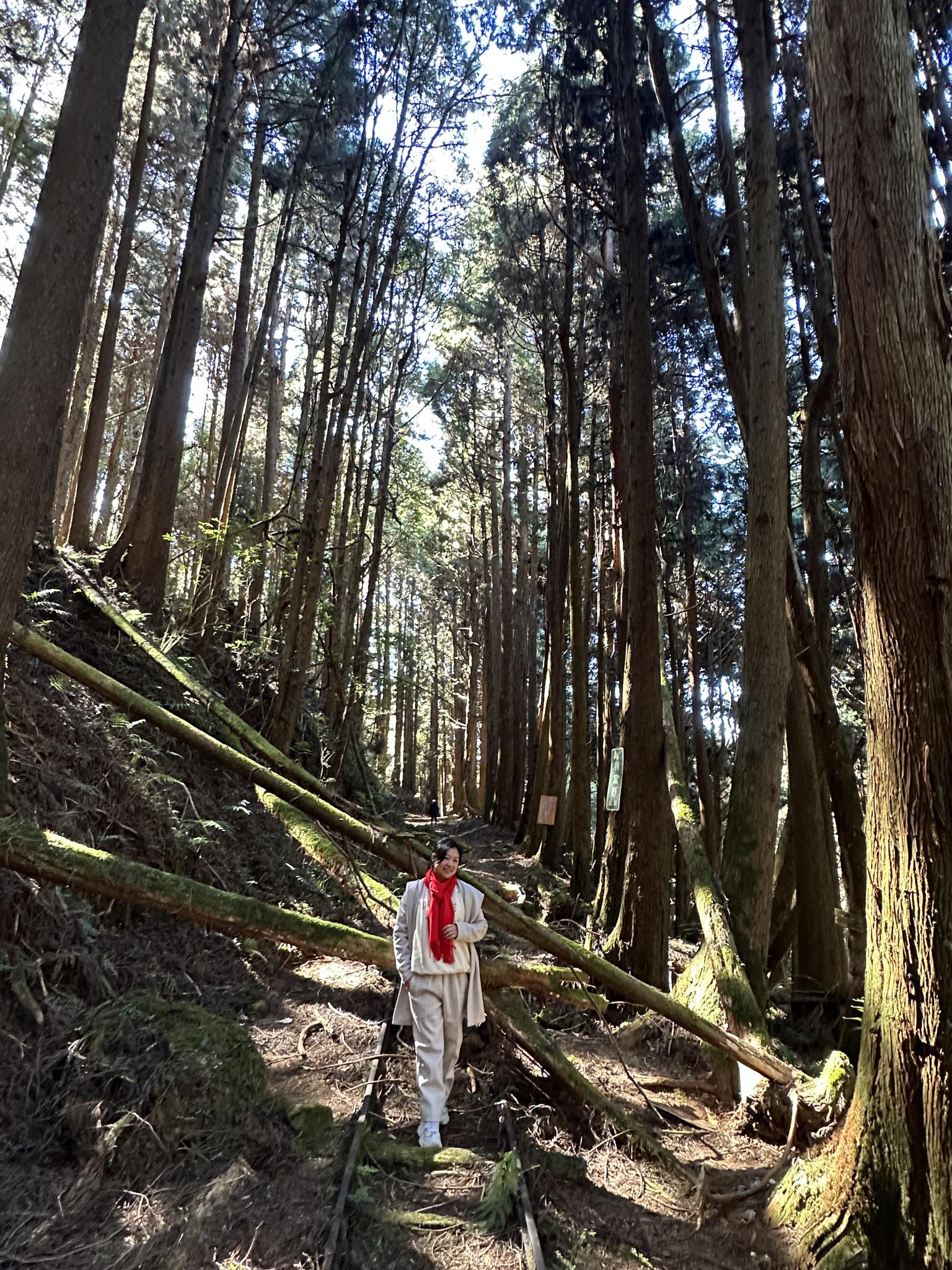 導航點,特富野古道,特富野古道怎麼去？,特富野自忠登山口路線,獨立山國家步道,精選文章