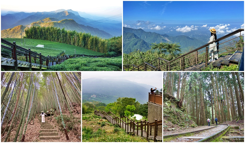 嘉義阿里山人氣步道,特富野古道人氣,阿里山步道15處