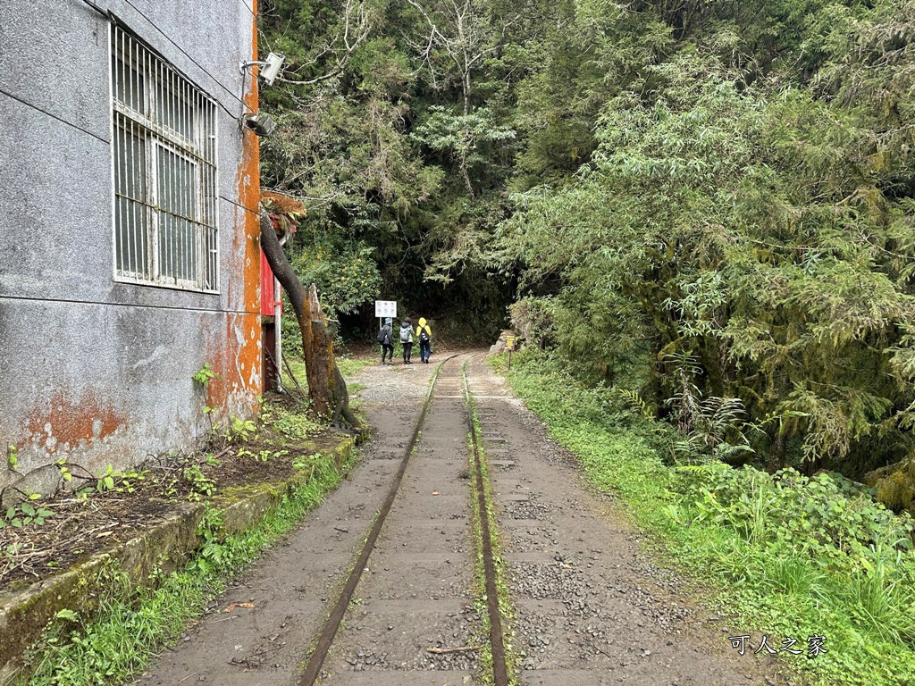 導航點,特富野古道,特富野古道怎麼去？,特富野自忠登山口路線,獨立山國家步道,精選文章