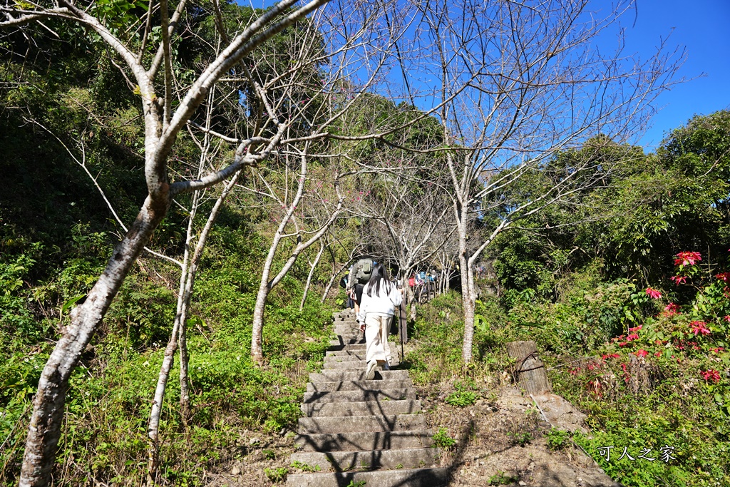 奉天岩,搭火車走步道,獨立山愛玉,獨立山步道,獨立山步道登山口,獨立山火車站時刻表