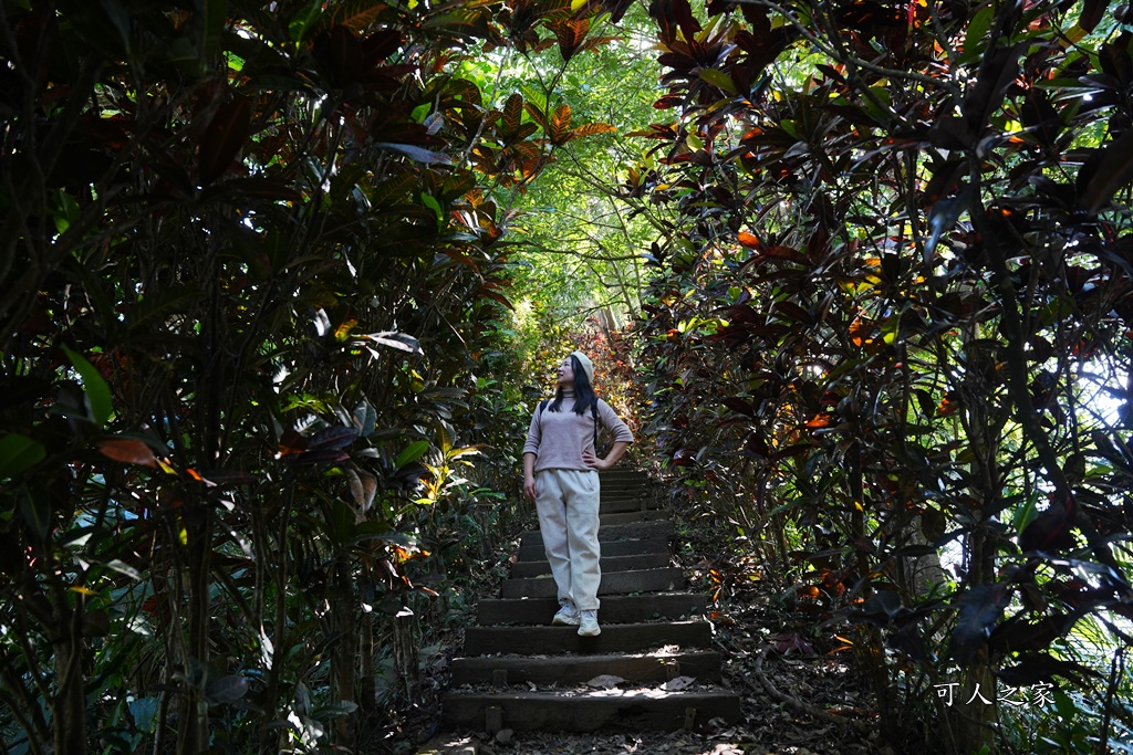 奉天岩,搭火車走步道,獨立山愛玉,獨立山步道,獨立山步道登山口,獨立山火車站時刻表