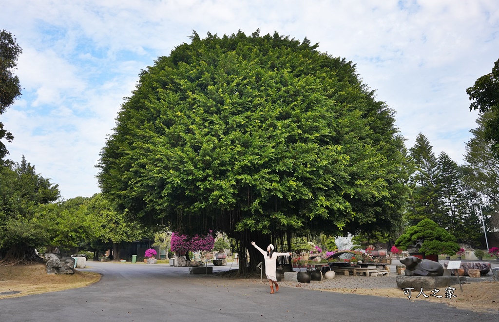 彎彎滑森樂園,彰化溪州園藝,日式庭園彰化,溪州景點,灣灣滑森樂園,紫檀閣,萬景藝苑