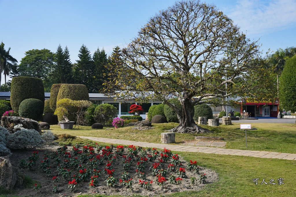 彎彎滑森樂園,彰化溪州園藝,日式庭園彰化,溪州景點,灣灣滑森樂園,紫檀閣,萬景藝苑