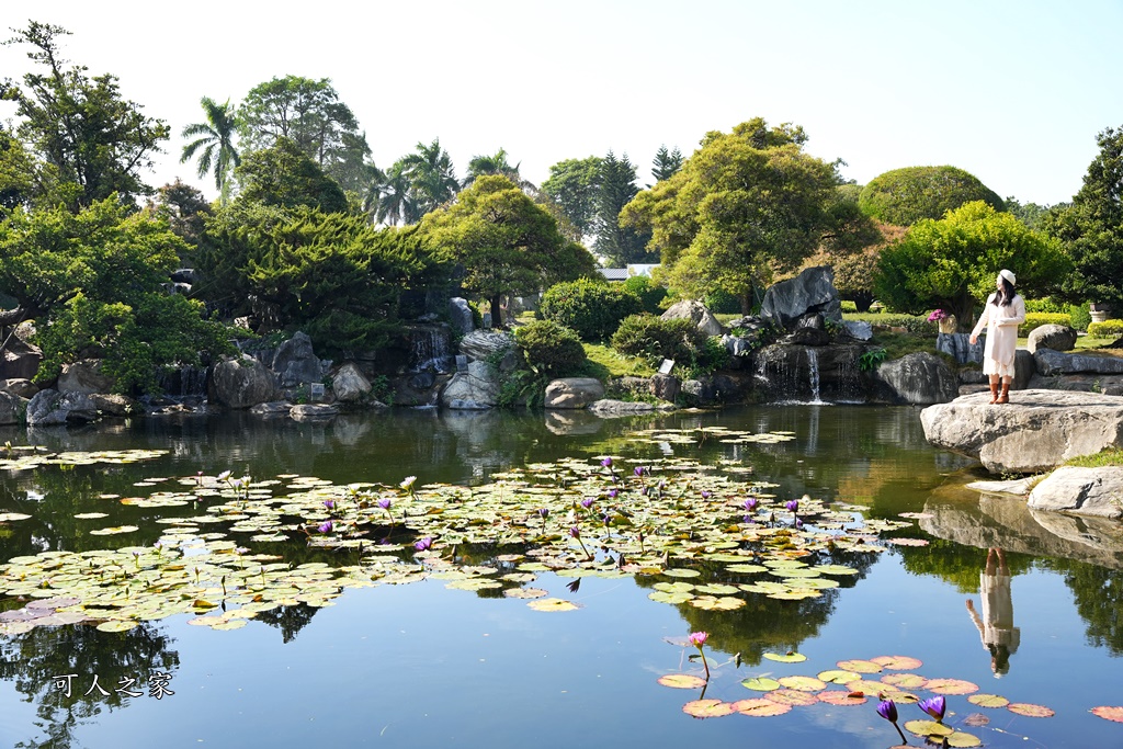 彎彎滑森樂園,彰化溪州園藝,日式庭園彰化,溪州景點,灣灣滑森樂園,紫檀閣,萬景藝苑