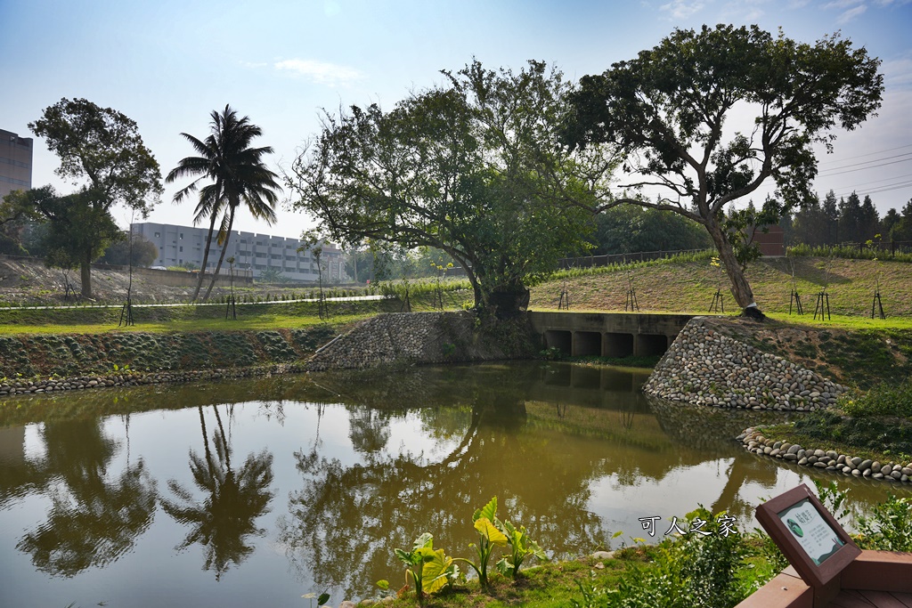 後庄埤親水公園,雲林斗六新景點