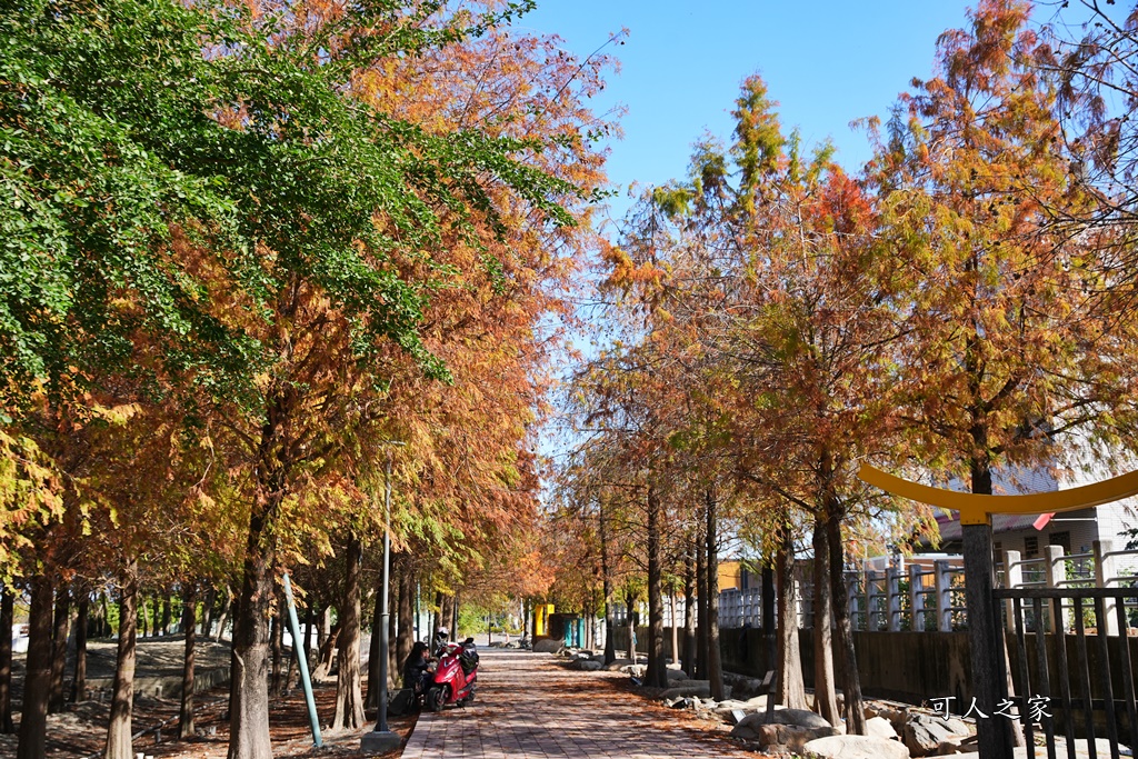 彰化新景點,彰化田尾怡心園遊戲場,彰化田尾遛小孩]