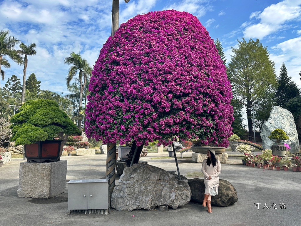 彎彎滑森樂園,彰化溪州園藝,日式庭園彰化,溪州景點,灣灣滑森樂園,紫檀閣,萬景藝苑