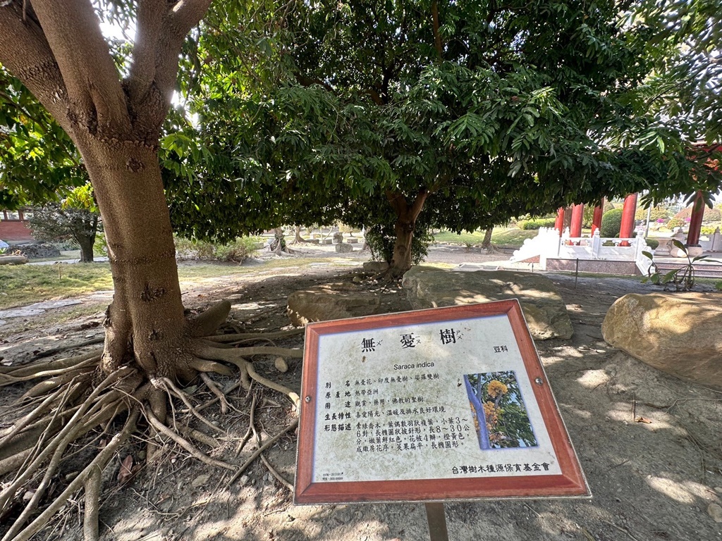 彎彎滑森樂園,彰化溪州園藝,日式庭園彰化,溪州景點,灣灣滑森樂園,紫檀閣,萬景藝苑