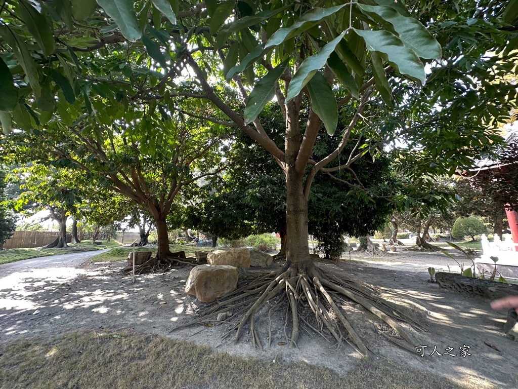 彎彎滑森樂園,彰化溪州園藝,日式庭園彰化,溪州景點,灣灣滑森樂園,紫檀閣,萬景藝苑