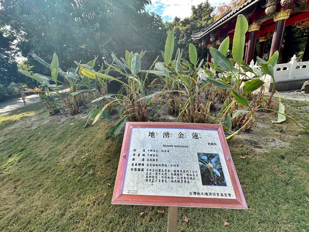 彎彎滑森樂園,彰化溪州園藝,日式庭園彰化,溪州景點,灣灣滑森樂園,紫檀閣,萬景藝苑