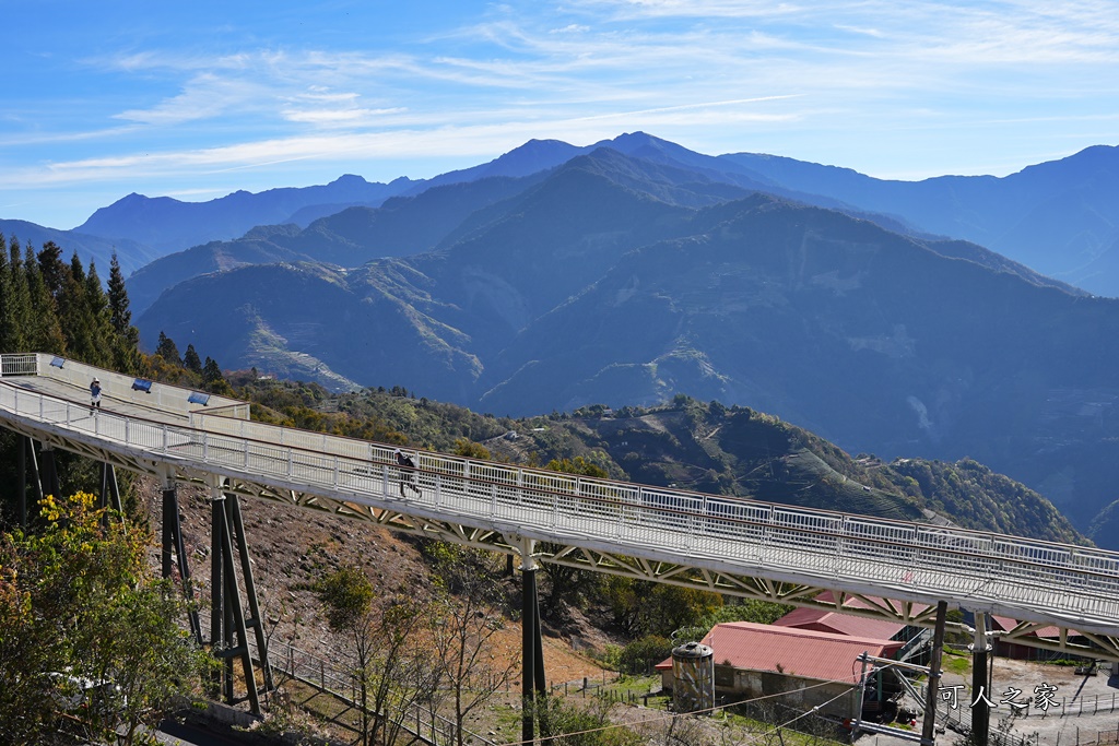 南投清境,南投粉嫩櫻花,南投賞花景點,吉野櫻,清境農場,青青草原