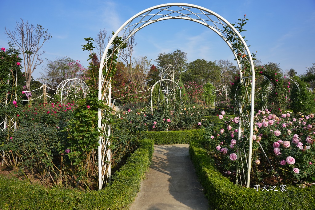 古典玫瑰花園花園,台南後壁,台南雅聞第五座觀光工廠,後壁雅聞,法式玫瑰花園,熱帶雨林森林,脈輪玫瑰花園,雅聞宿根玫瑰療癒森林觀光工廠,雅聞湖濱療癒森林觀光工廠,雅聞試營運