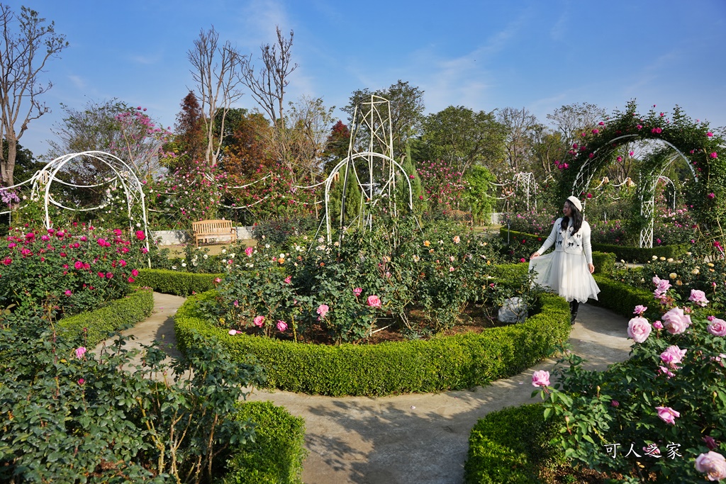 古典玫瑰花園花園,台南後壁,台南雅聞第五座觀光工廠,後壁雅聞,法式玫瑰花園,熱帶雨林森林,脈輪玫瑰花園,雅聞宿根玫瑰療癒森林觀光工廠,雅聞湖濱療癒森林觀光工廠,雅聞試營運