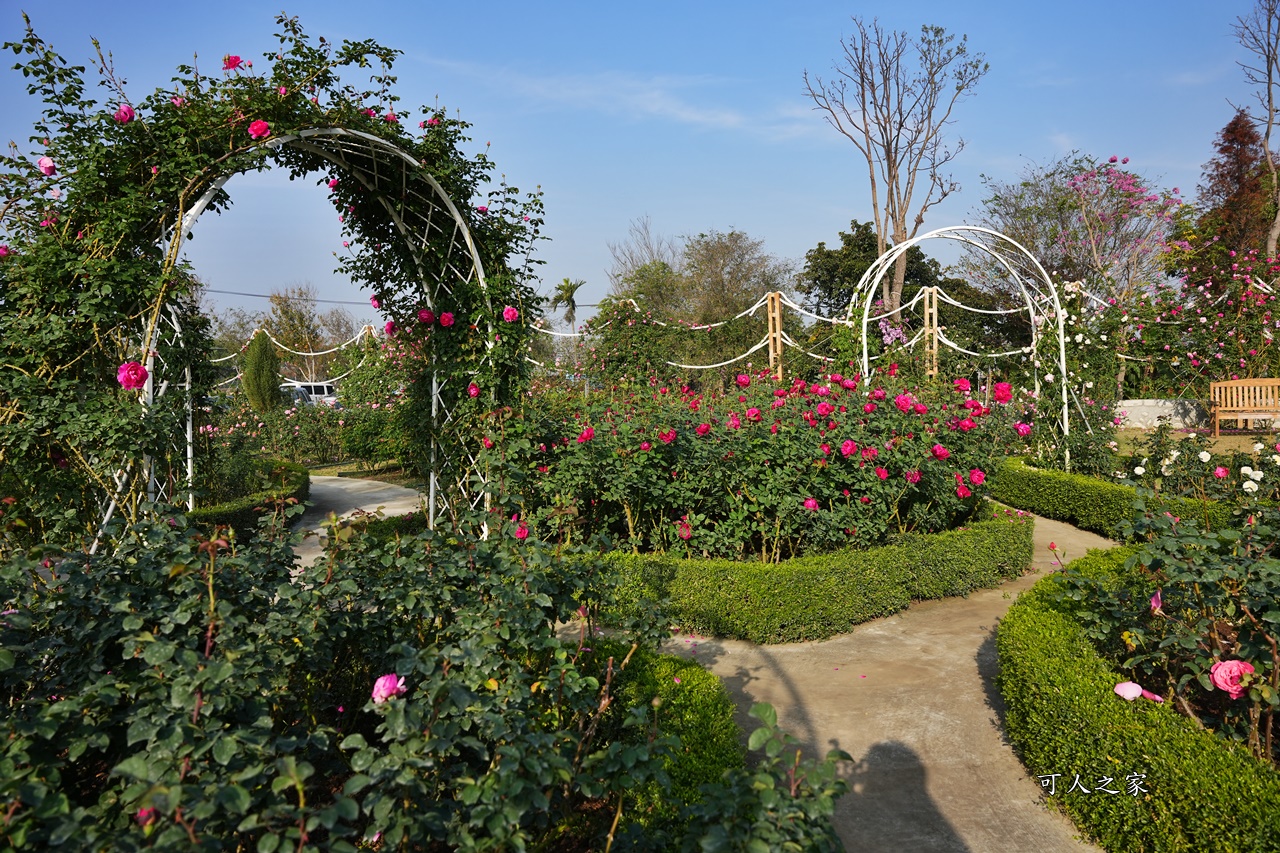 古典玫瑰花園花園,台南後壁,台南雅聞第五座觀光工廠,後壁雅聞,法式玫瑰花園,熱帶雨林森林,脈輪玫瑰花園,雅聞宿根玫瑰療癒森林觀光工廠,雅聞湖濱療癒森林觀光工廠,雅聞試營運