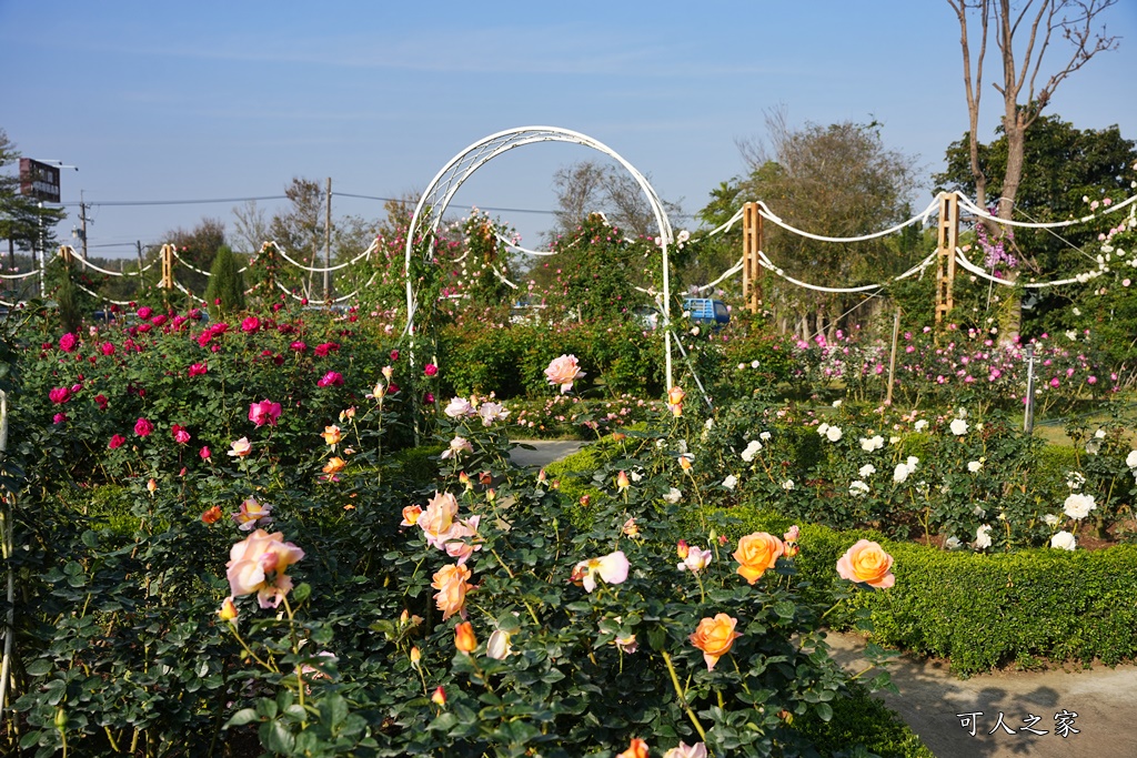 古典玫瑰花園花園,台南後壁,台南雅聞第五座觀光工廠,後壁雅聞,法式玫瑰花園,熱帶雨林森林,脈輪玫瑰花園,雅聞宿根玫瑰療癒森林觀光工廠,雅聞湖濱療癒森林觀光工廠,雅聞試營運