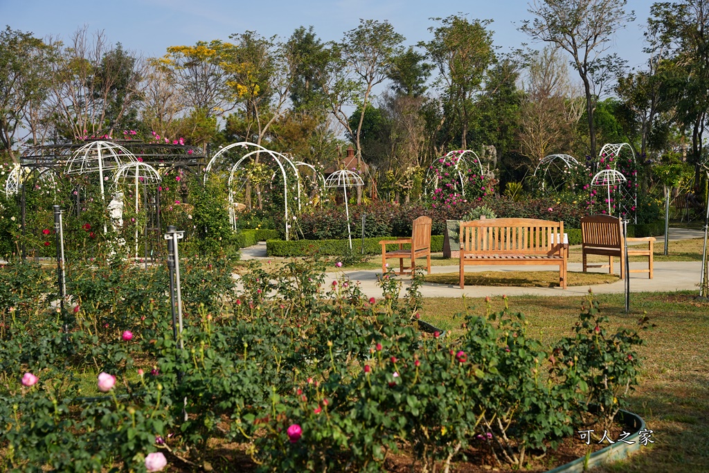 古典玫瑰花園花園,台南後壁,台南雅聞第五座觀光工廠,後壁雅聞,法式玫瑰花園,熱帶雨林森林,脈輪玫瑰花園,雅聞宿根玫瑰療癒森林觀光工廠,雅聞湖濱療癒森林觀光工廠,雅聞試營運