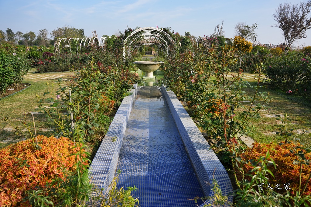 古典玫瑰花園花園,台南後壁,台南雅聞第五座觀光工廠,後壁雅聞,法式玫瑰花園,熱帶雨林森林,脈輪玫瑰花園,雅聞宿根玫瑰療癒森林觀光工廠,雅聞湖濱療癒森林觀光工廠,雅聞試營運