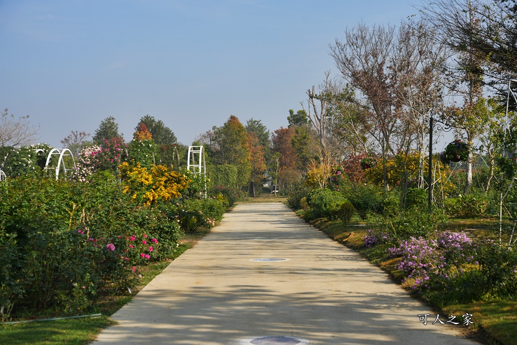 古典玫瑰花園花園,台南後壁,台南雅聞第五座觀光工廠,後壁雅聞,法式玫瑰花園,熱帶雨林森林,脈輪玫瑰花園,雅聞宿根玫瑰療癒森林觀光工廠,雅聞湖濱療癒森林觀光工廠,雅聞試營運