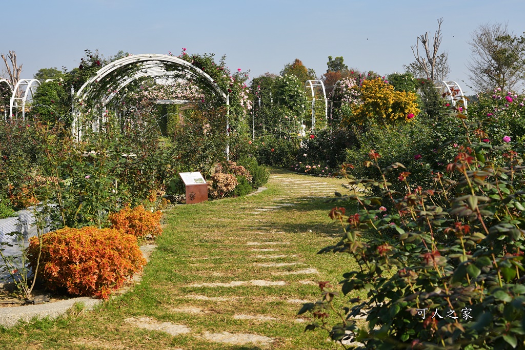 古典玫瑰花園花園,台南後壁,台南雅聞第五座觀光工廠,後壁雅聞,法式玫瑰花園,熱帶雨林森林,脈輪玫瑰花園,雅聞宿根玫瑰療癒森林觀光工廠,雅聞湖濱療癒森林觀光工廠,雅聞試營運