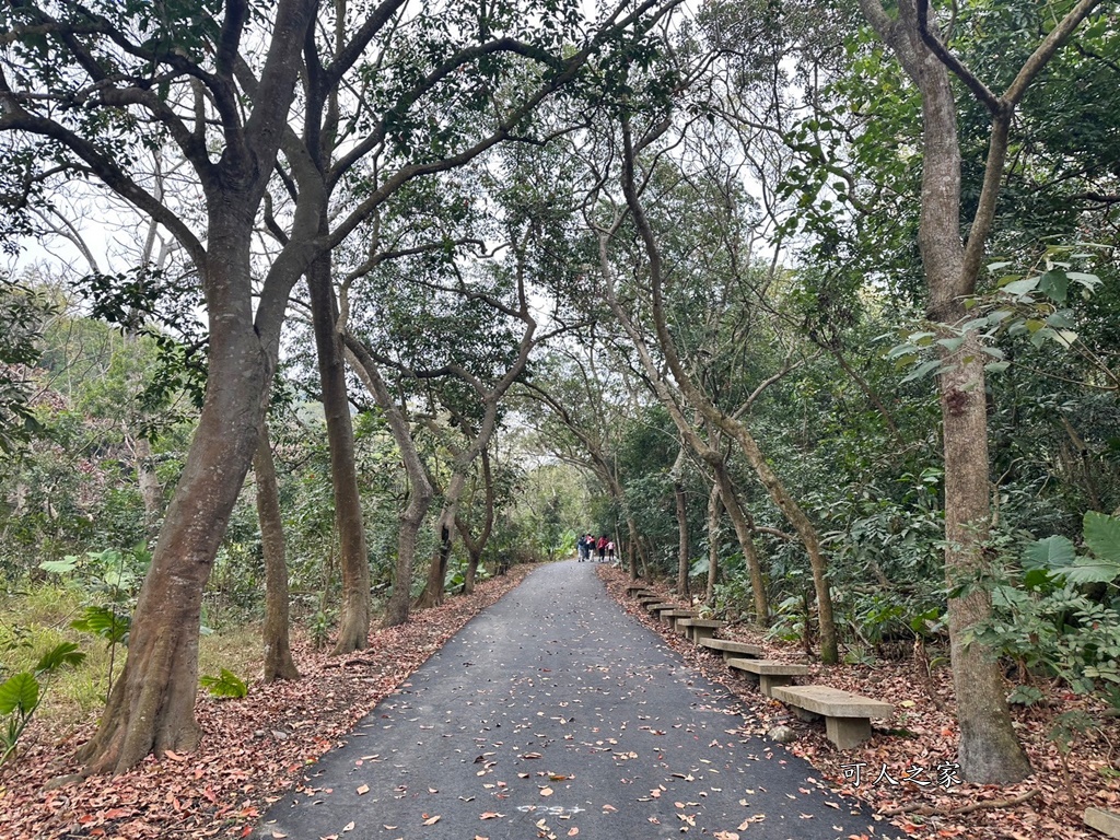 二水步道,松柏嶺登山步道,登廟步道,豐柏廣場