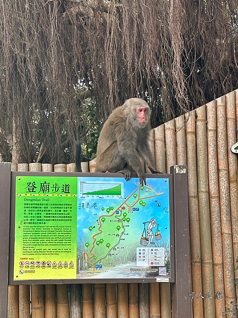 二水步道,松柏嶺登山步道,登廟步道,豐柏廣場