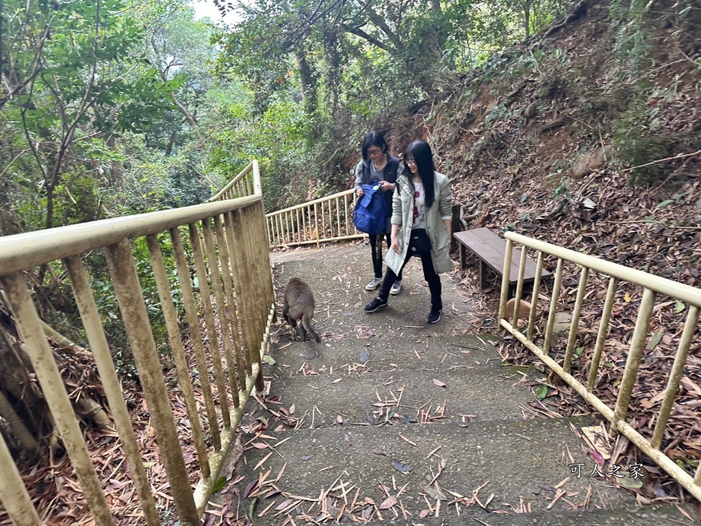 二水步道,松柏嶺登山步道,登廟步道,豐柏廣場