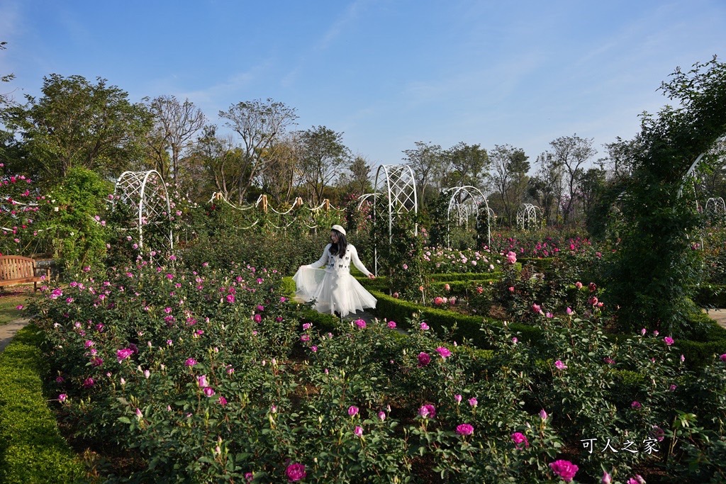 古典玫瑰花園花園,台南後壁,台南雅聞第五座觀光工廠,後壁雅聞,法式玫瑰花園,熱帶雨林森林,脈輪玫瑰花園,雅聞宿根玫瑰療癒森林觀光工廠,雅聞湖濱療癒森林觀光工廠,雅聞試營運