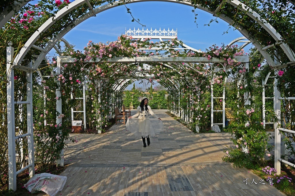 古典玫瑰花園花園,台南後壁,台南雅聞第五座觀光工廠,後壁雅聞,法式玫瑰花園,熱帶雨林森林,脈輪玫瑰花園,雅聞宿根玫瑰療癒森林觀光工廠,雅聞湖濱療癒森林觀光工廠,雅聞試營運