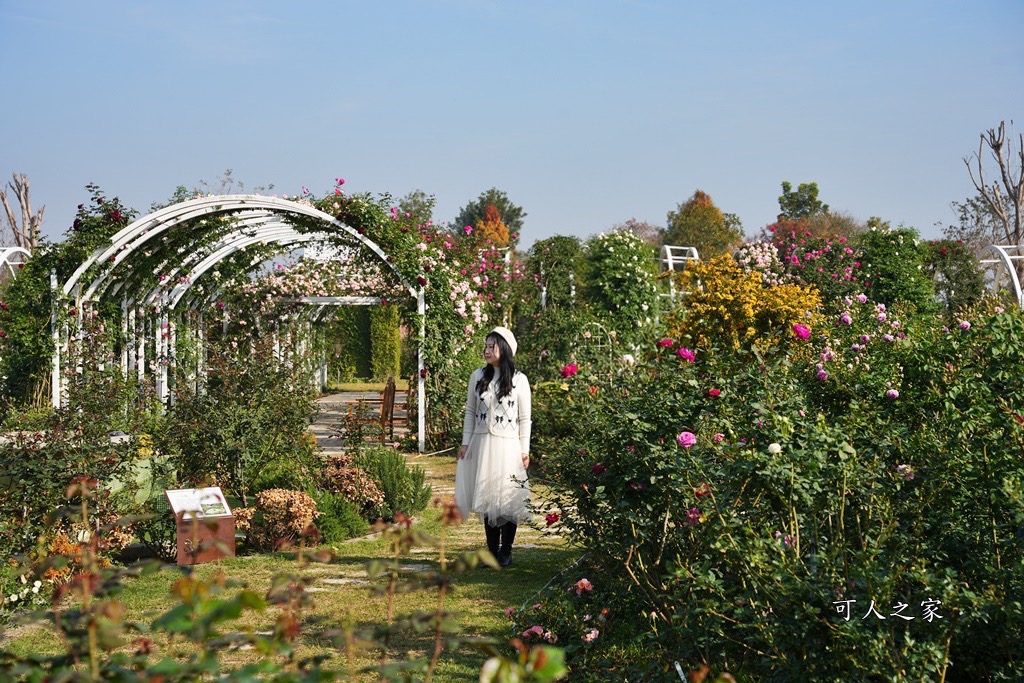 古典玫瑰花園花園,台南後壁,台南雅聞第五座觀光工廠,後壁雅聞,法式玫瑰花園,熱帶雨林森林,脈輪玫瑰花園,雅聞宿根玫瑰療癒森林觀光工廠,雅聞湖濱療癒森林觀光工廠,雅聞試營運