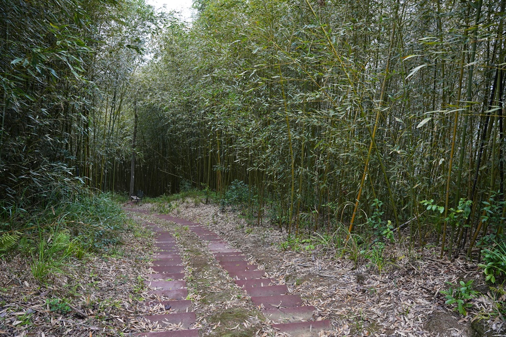 新竹小動物,新竹尖石鄉,新竹景觀餐廳,羊咩咩新竹,魔法女屋