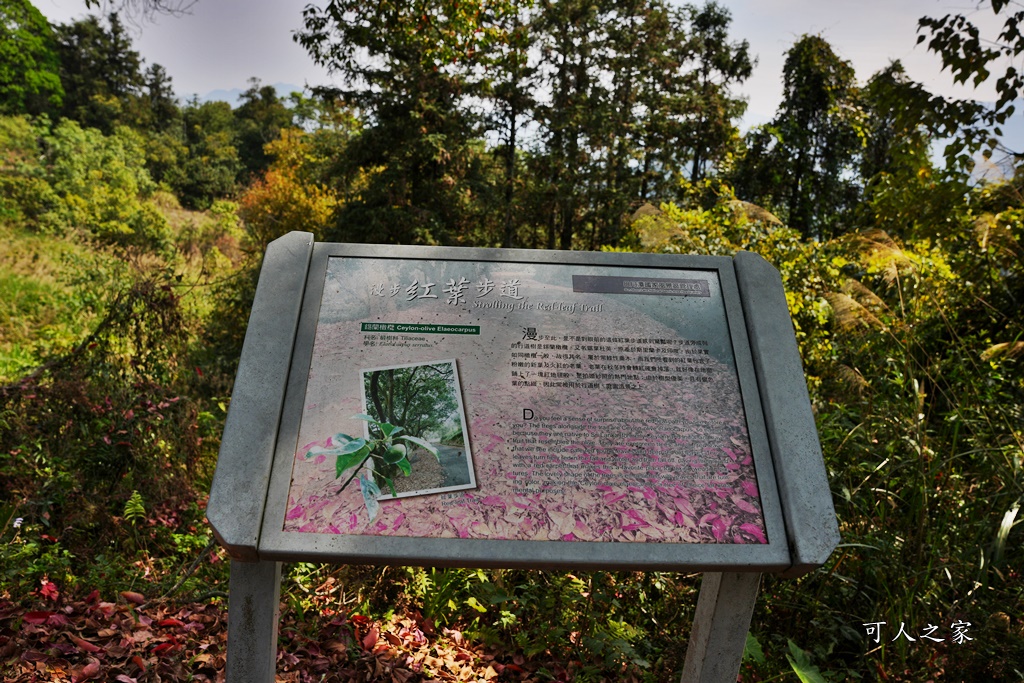 貓囒山步道