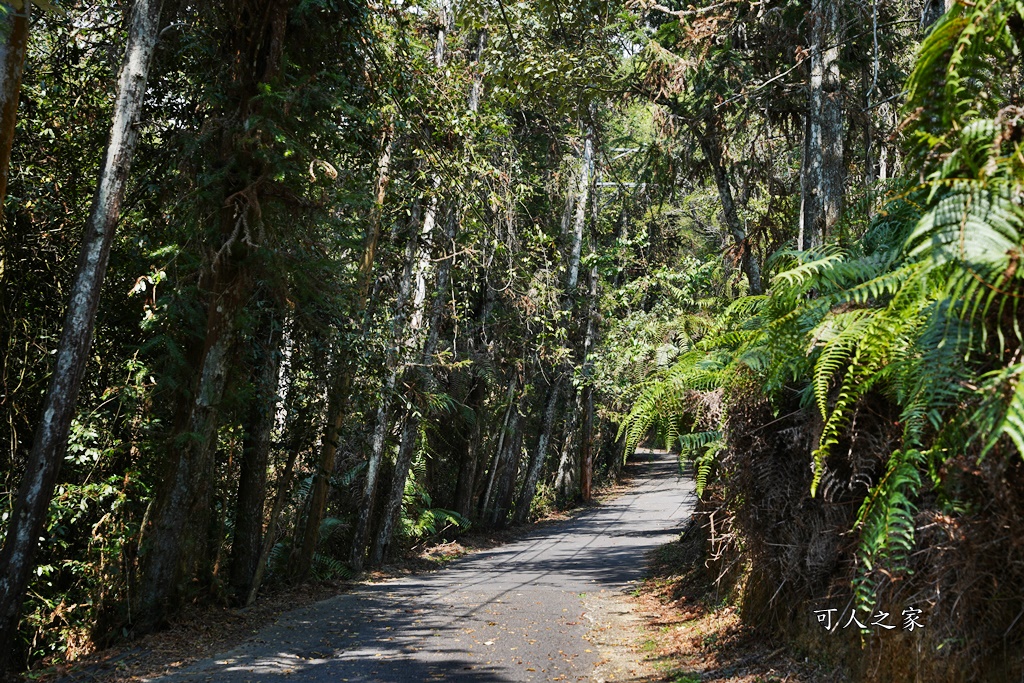 貓囒山步道