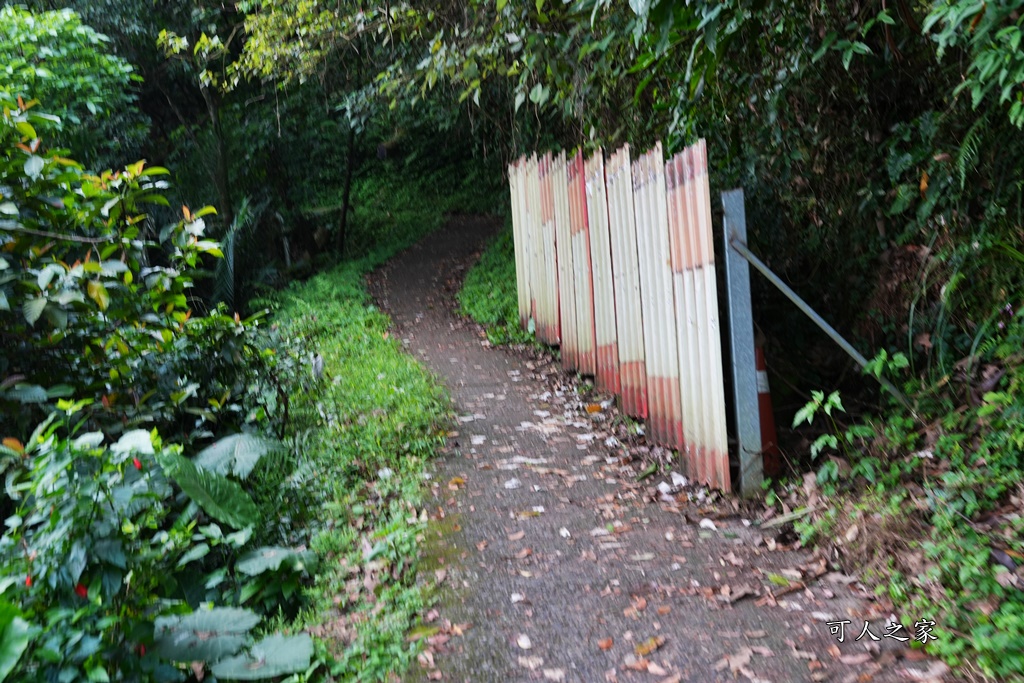 中山亭,中山亭盪鞦韆,中山步道,宜蘭三清宮,宜蘭冬山盪鞦韆