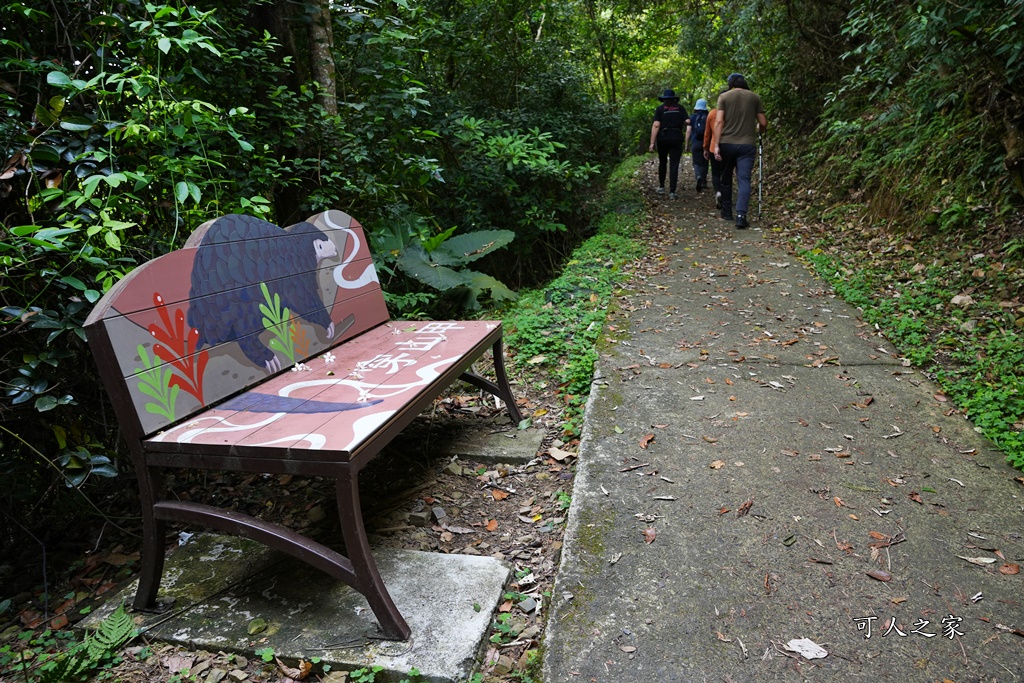 中山亭,中山亭盪鞦韆,中山步道,宜蘭三清宮,宜蘭冬山盪鞦韆